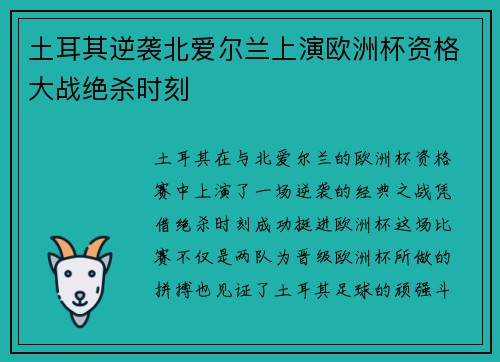 土耳其逆袭北爱尔兰上演欧洲杯资格大战绝杀时刻