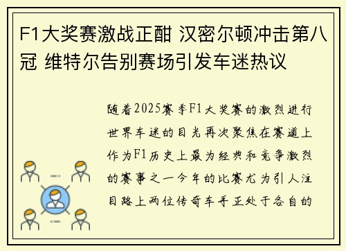 F1大奖赛激战正酣 汉密尔顿冲击第八冠 维特尔告别赛场引发车迷热议