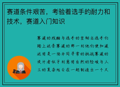 赛道条件艰苦，考验着选手的耐力和技术，赛道入门知识